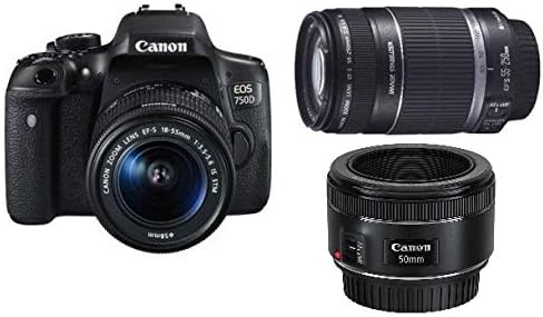 Canon EOS 750D 18-55mm IS STM + Canon EF-S 55-250MM f/4-5.6 IS II